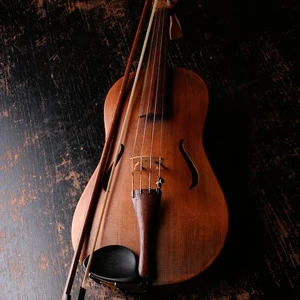 Violino